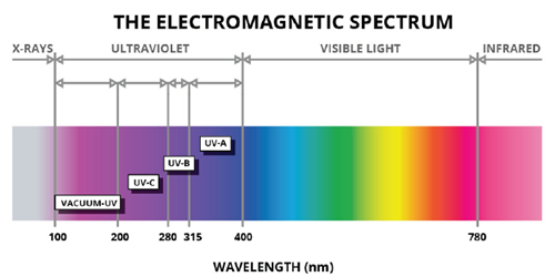 Light Spectrum