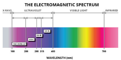 Using UV Light to Prevent Mold Growth